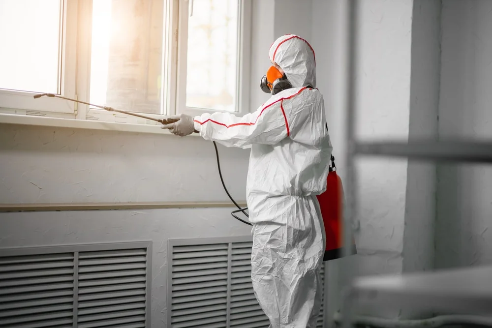 Professional mold remediation services in Bloomfield, KY